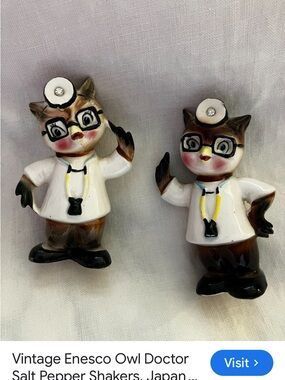 Enesco Brown, White & Black Owl Doctor Cat Salt & Pepper Set